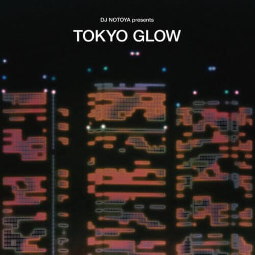 DJ Notoya, Various Tokyo Glow Wewantsounds Compilation Vinyl