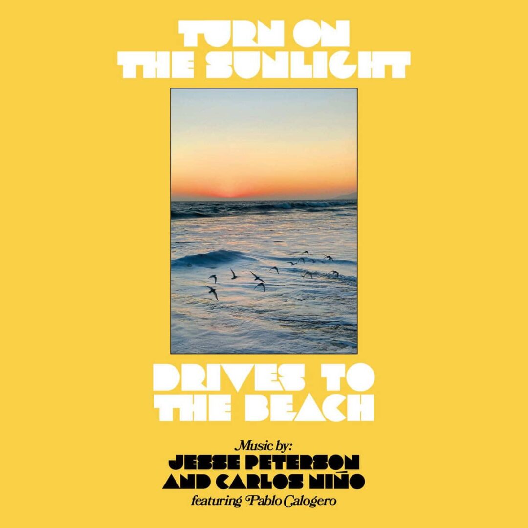 Carlos Nino, Jesse Peterson Drives To The Beach Tokonoma Records LP Vinyl
