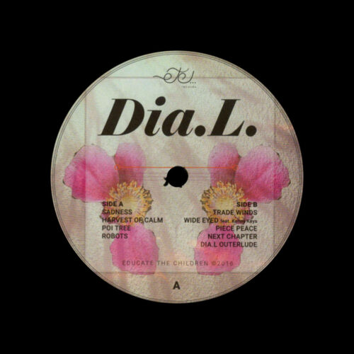 Dia L Dia L Etc Records 12" Vinyl