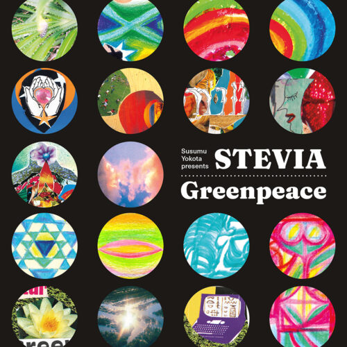 Stevia, Susumu Yokota Greenpeace Glossy Mistakes 2x12 Vinyl