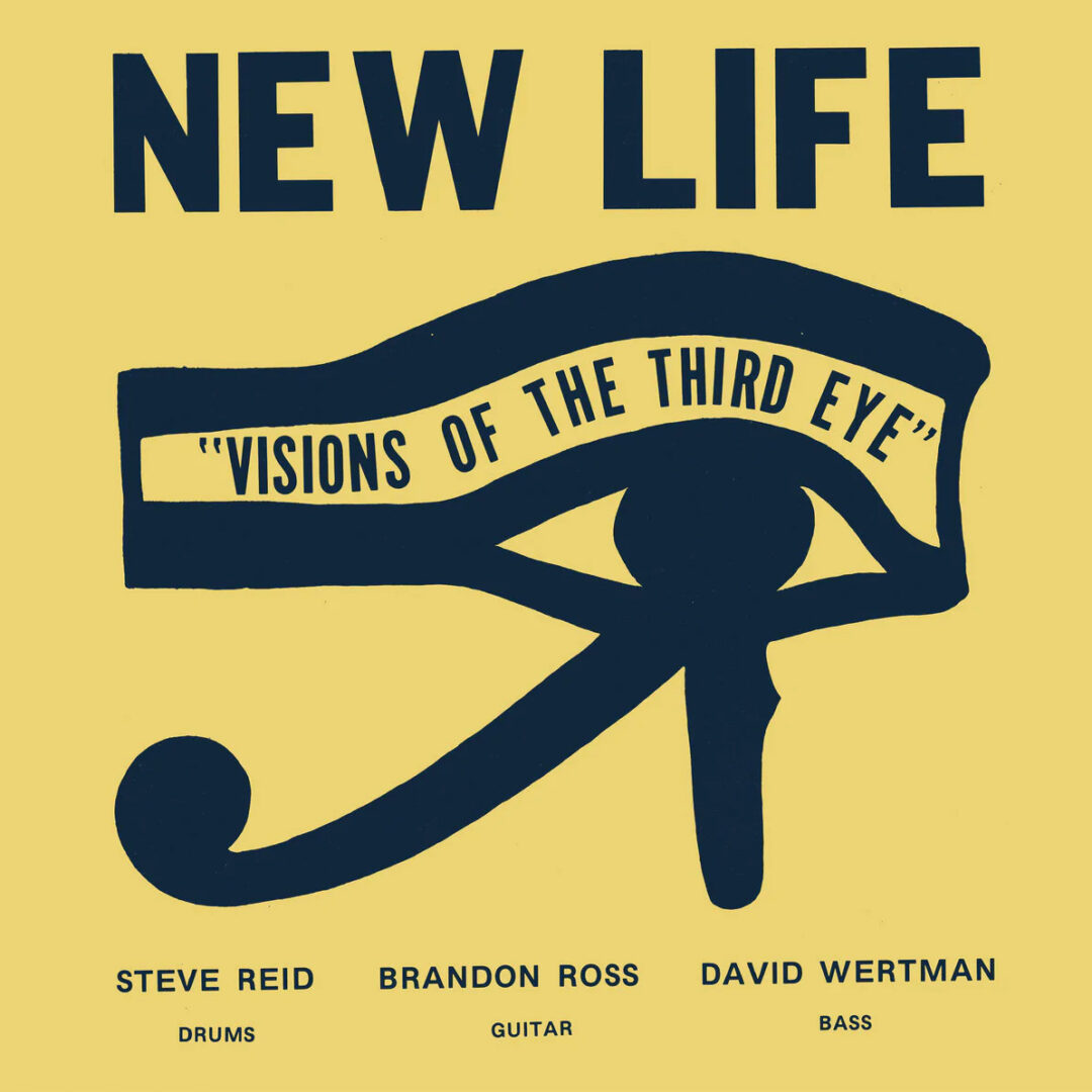 New Life Trio Visions Of The Third Eye Early Future Records LP, Reissue Vinyl