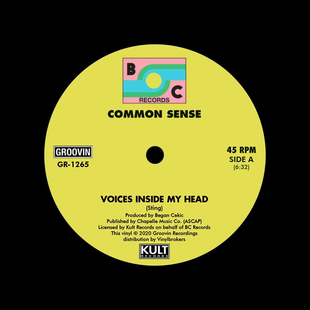 Common Sense Voices Inside My Head (Vinyl) The Mixtape Shop