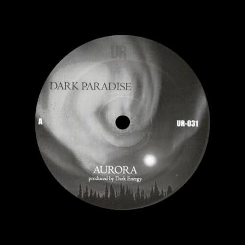 Dark Energy Dark Paradise Underground Resistance 12" Vinyl