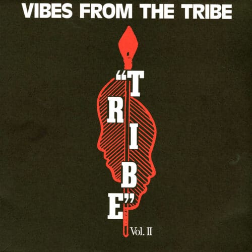 Various Vibes From The Tribe, Vol 2 P-Vine Compilation Vinyl