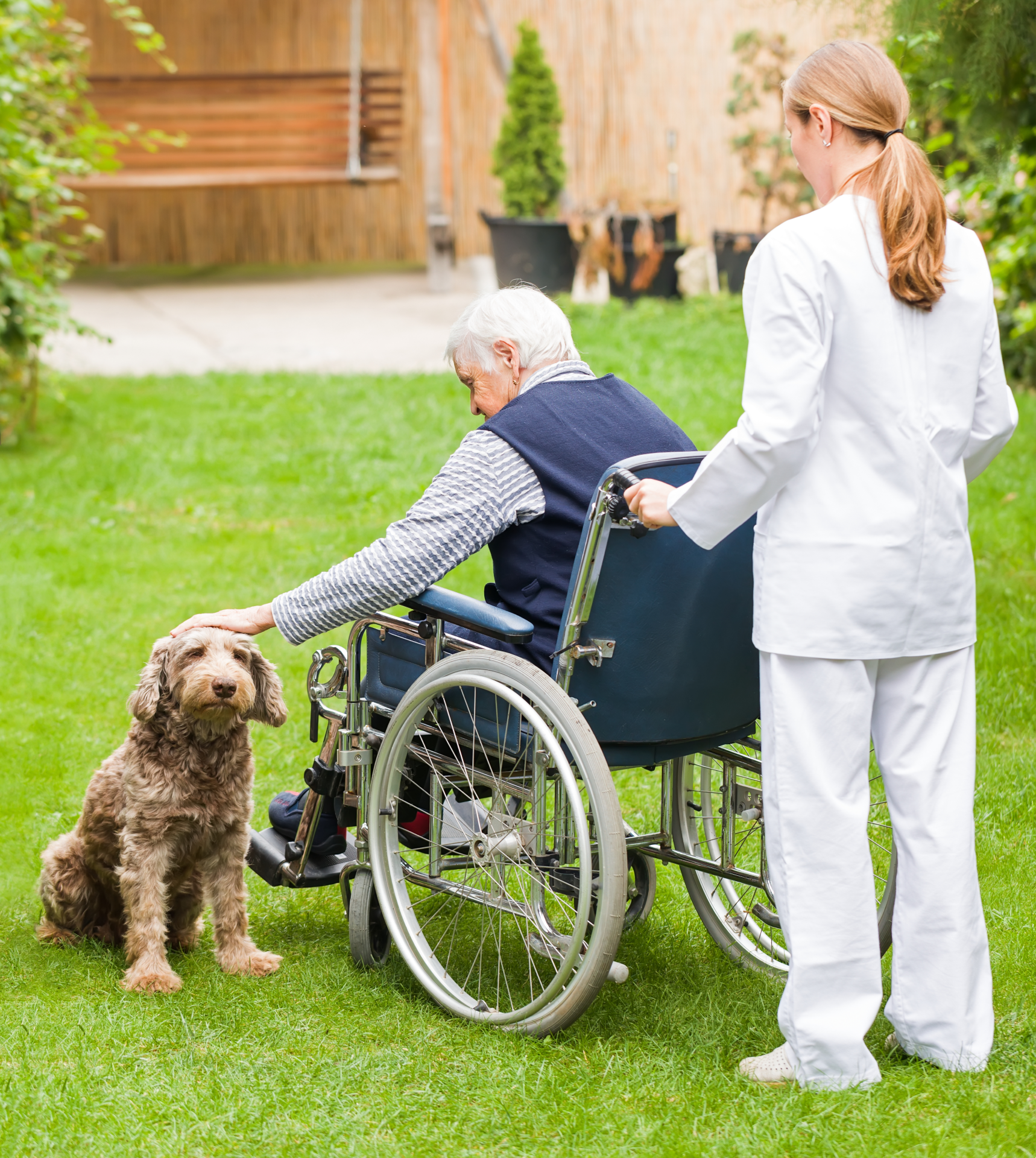 Senior man in a wheelchair petting a dog with his caregiver behind him