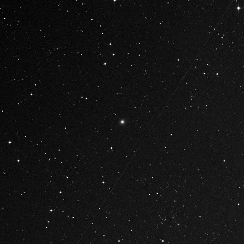 Image of IC 23 - Elliptical Galaxy in Cetus star