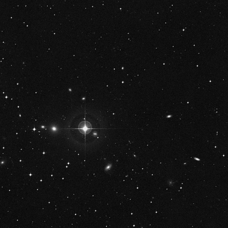 Image of IC 71 - Star in Cetus star