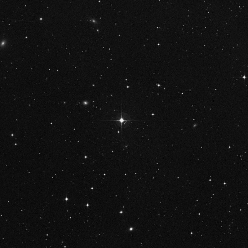 Image of IC 85 - Star in Cetus star