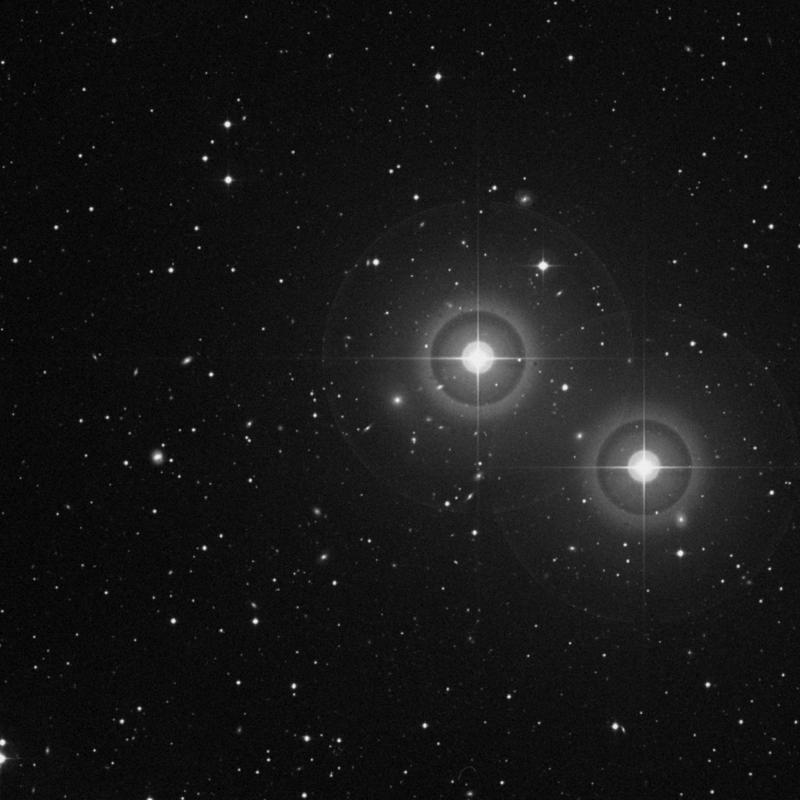 Image of IC 115 - Elliptical Galaxy in Pisces star