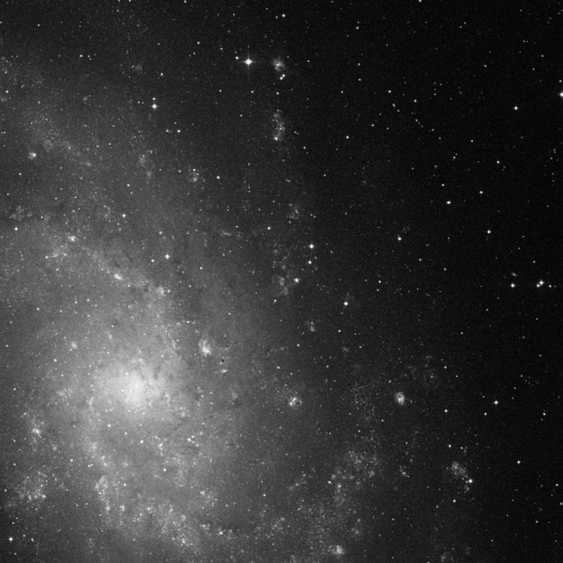 Image of IC 131 - HII Ionized region in Triangulum star