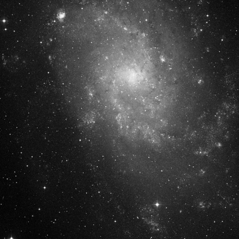 Image of IC 139 - Association of Stars in Triangulum star