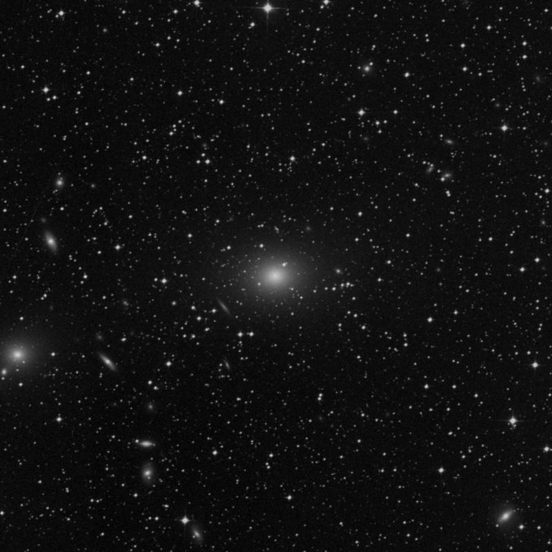 Image of NGC 4696 - Elliptical Galaxy in Centaurus star