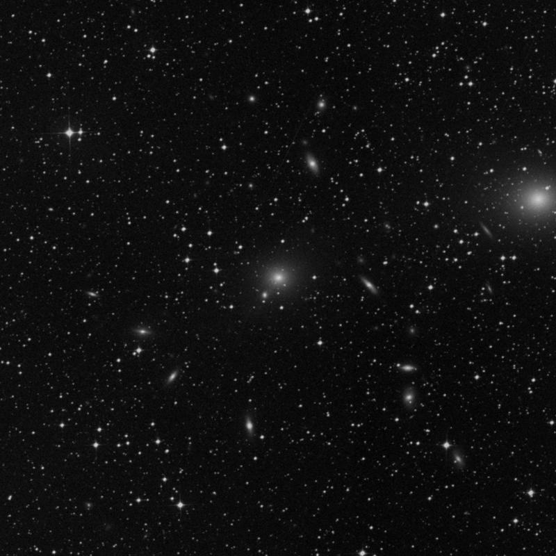 Image of NGC 4709 - Elliptical Galaxy in Centaurus star