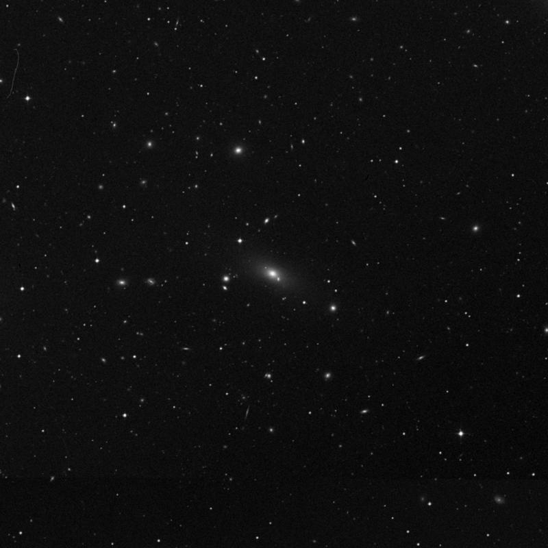 Image of NGC 4839 - Elliptical Galaxy in Coma Berenices star