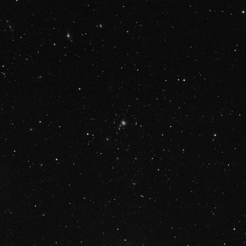 Image of NGC 4938 - Barred Spiral Galaxy in Canes Venatici star