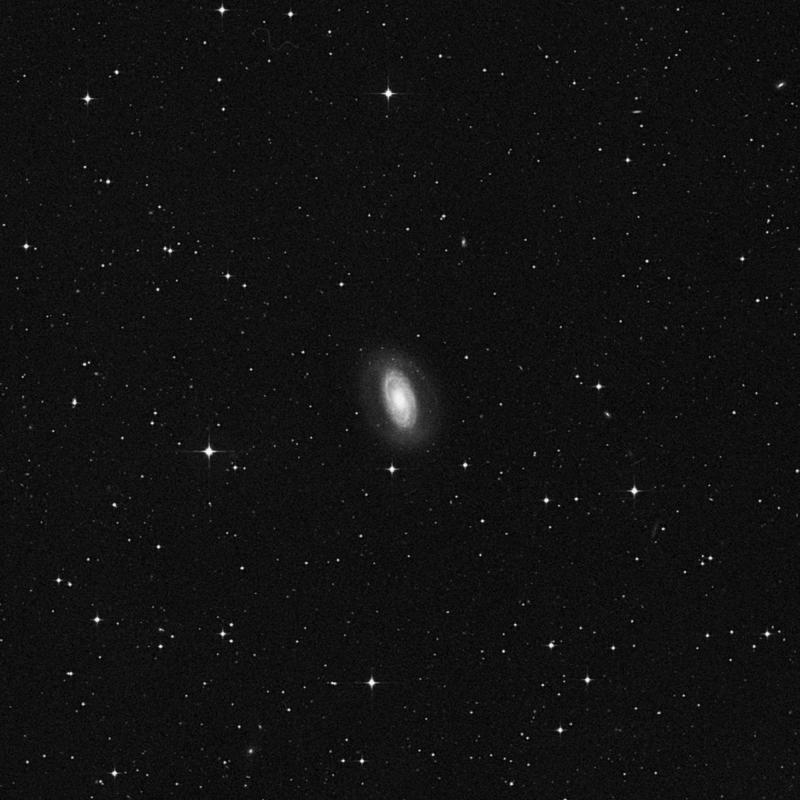 Image of NGC 4941 - Intermediate Spiral Galaxy in Virgo star