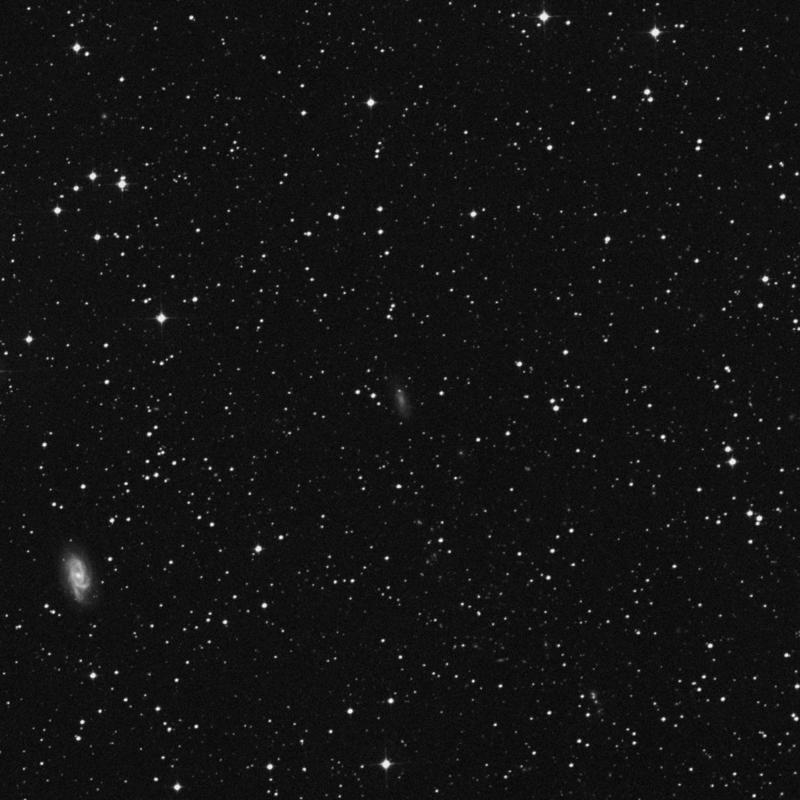 Image of NGC 4947A - Barred Spiral Galaxy in Centaurus star
