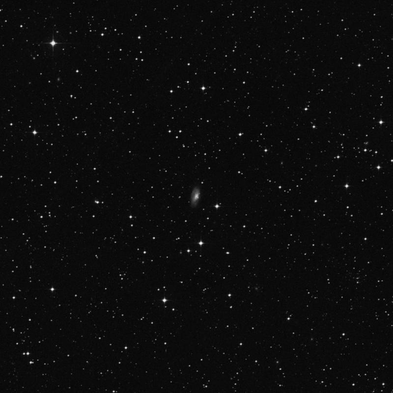 Image of NGC 4980 - Spiral Galaxy in Hydra star