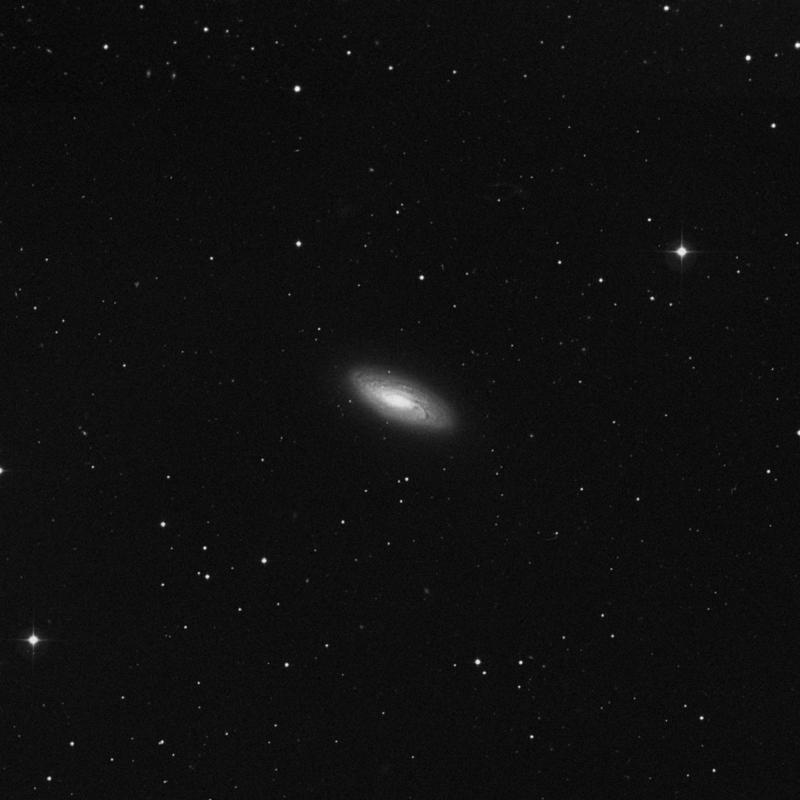 Image of NGC 5005 - Intermediate Spiral Galaxy in Canes Venatici star