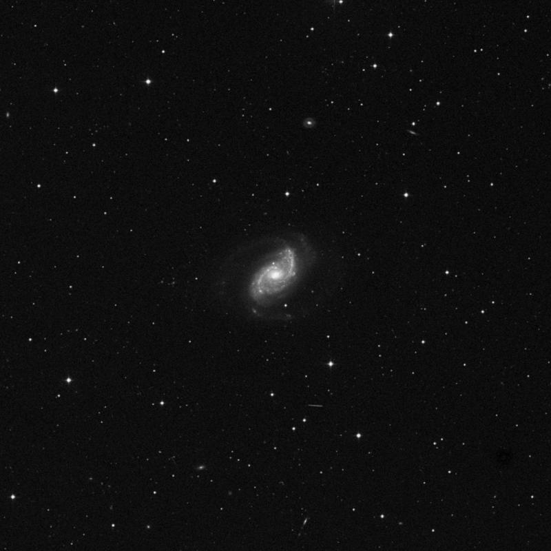 Image of NGC 5248 - Intermediate Spiral Galaxy in Boötes star