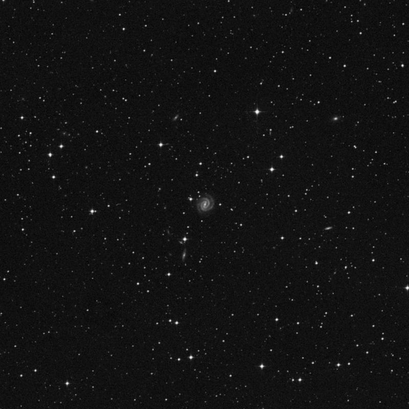 Image of NGC 5260 - Spiral Galaxy in Hydra star