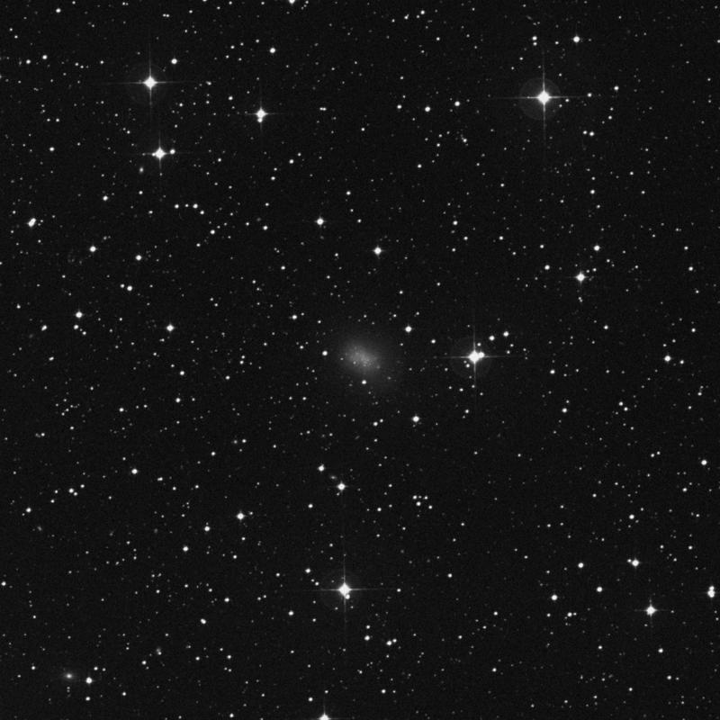 Image of NGC 5264 - Irregular Galaxy in Hydra star