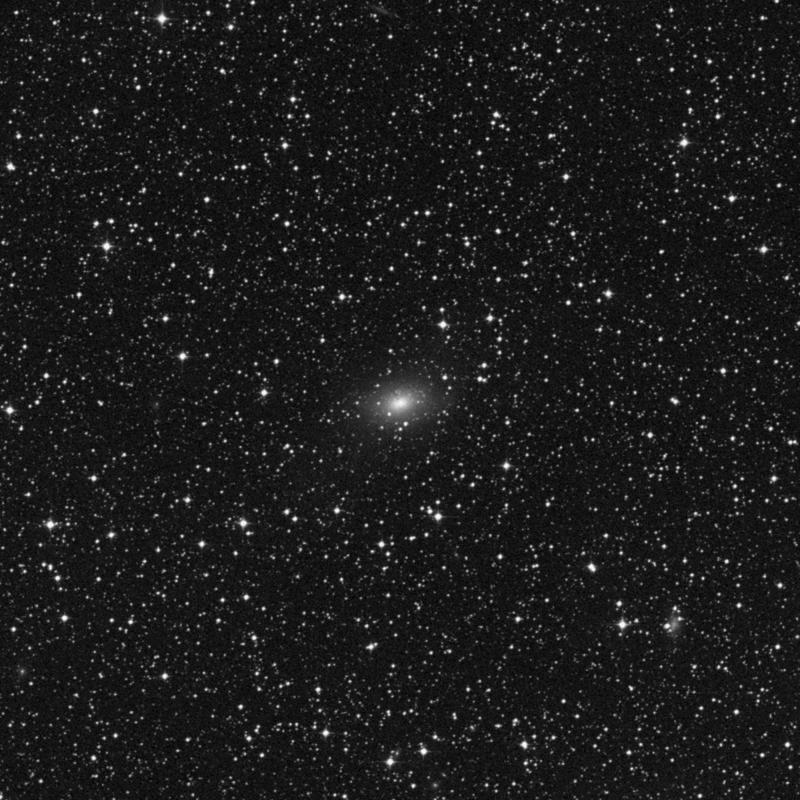 Image of NGC 5266 - Lenticular Galaxy in Centaurus star