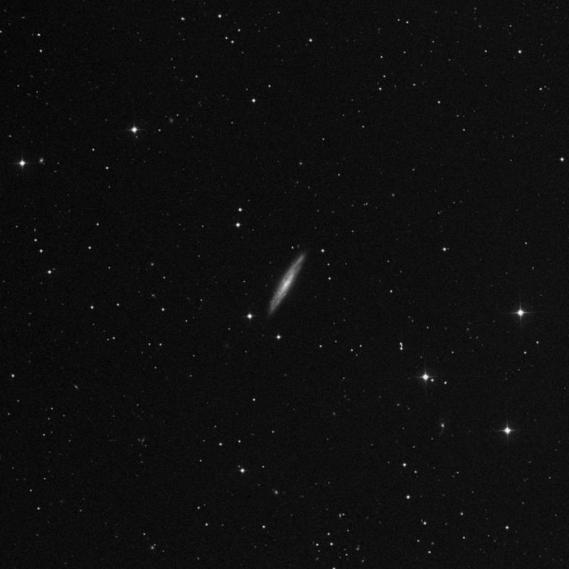 Image of NGC 5301 - Galaxy in Canes Venatici star