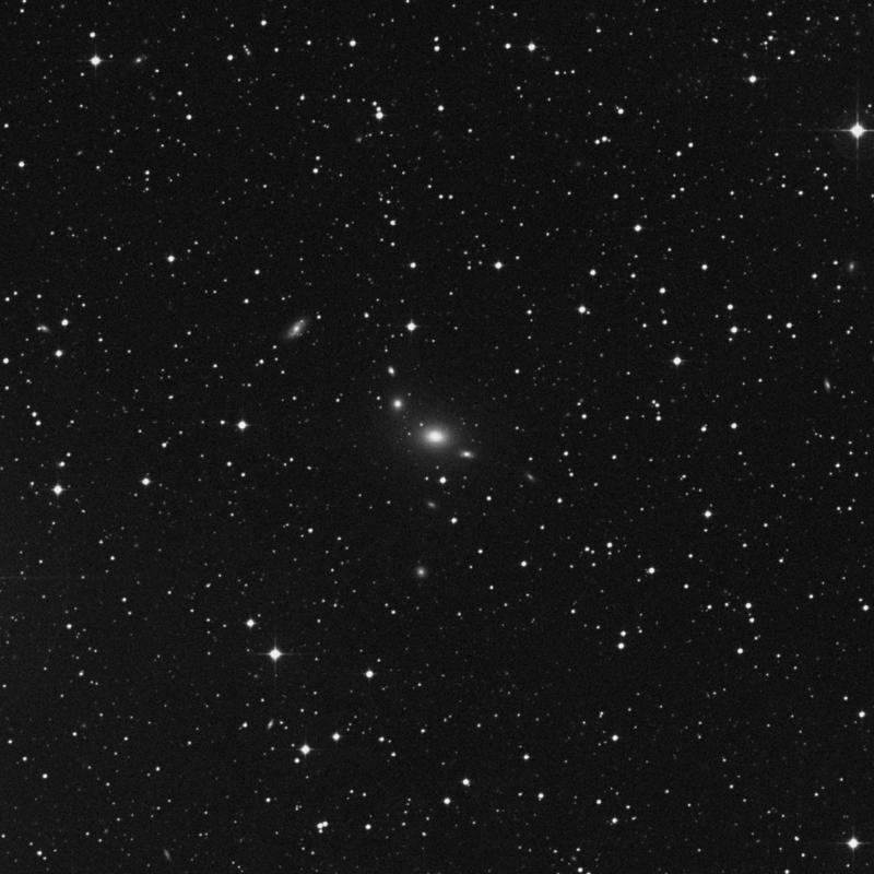 Image of NGC 5328 - Elliptical Galaxy in Hydra star