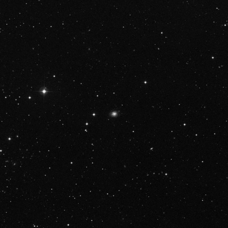Image of NGC 5336 - Intermediate Spiral Galaxy in Canes Venatici star