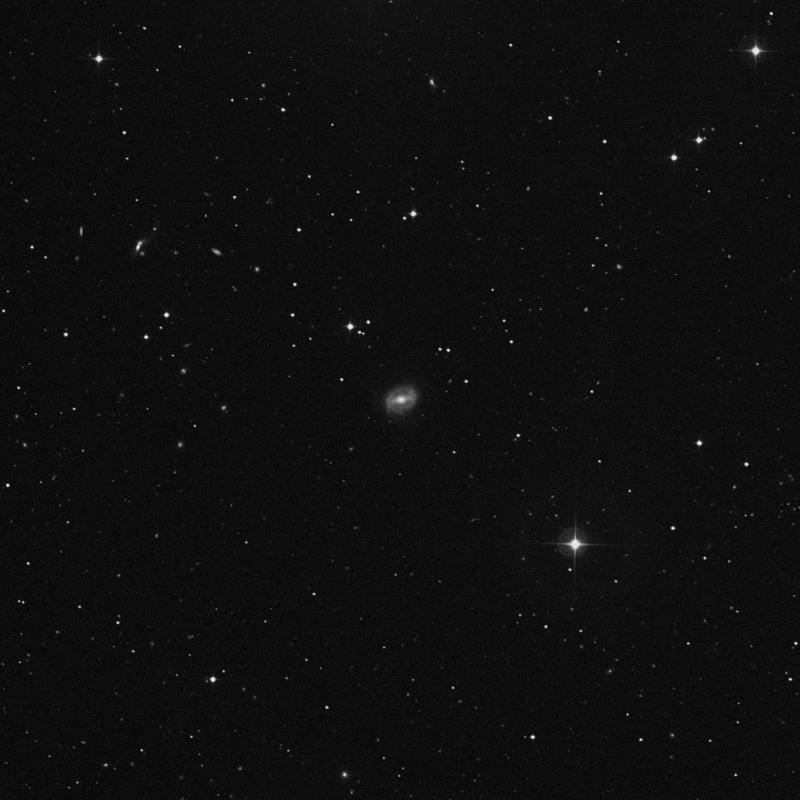 Image of NGC 5347 - Spiral Galaxy in Canes Venatici star