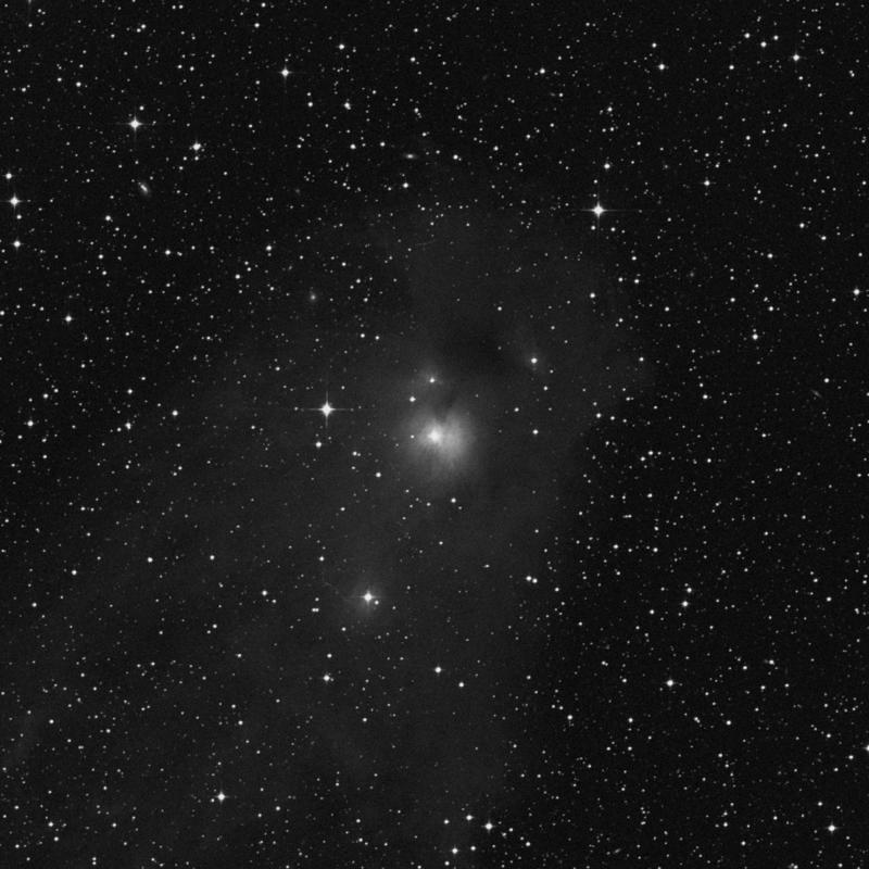 Image of NGC 5367 - Reflection Nebula in Centaurus star