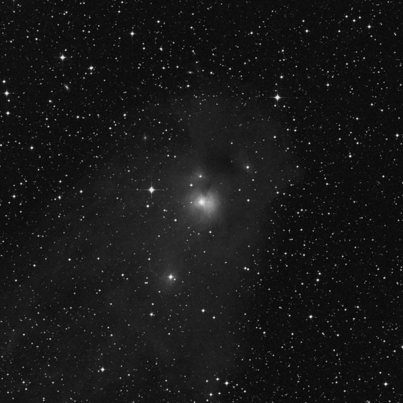 Image of NGC 5367 - Reflection Nebula in Centaurus star