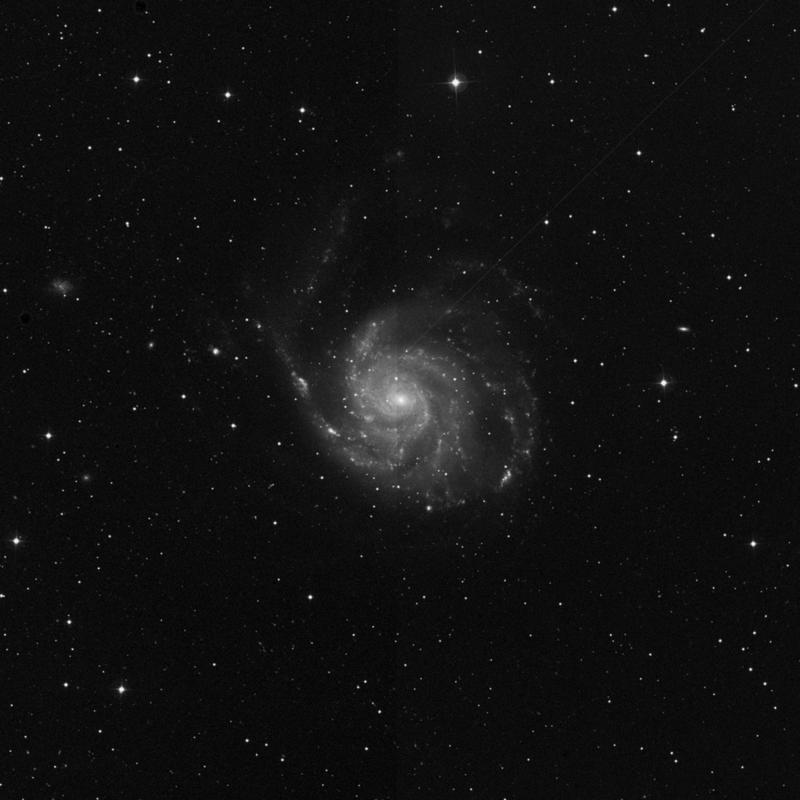 Image of Messier 101 (The Pinwheel Galaxy) - Intermediate Spiral Galaxy in Ursa Major star