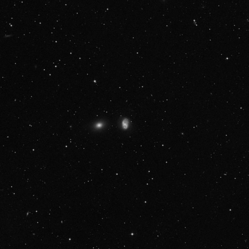 Image of NGC 5480 - Spiral Galaxy in Boötes star