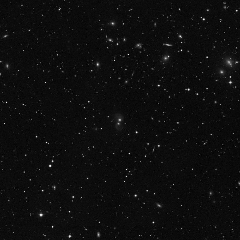 Image of IC 1178 - Elliptical/Spiral Galaxy in Hercules star