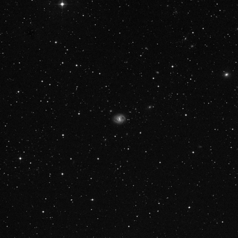 Image of NGC 6004 - Spiral Galaxy in Serpens star