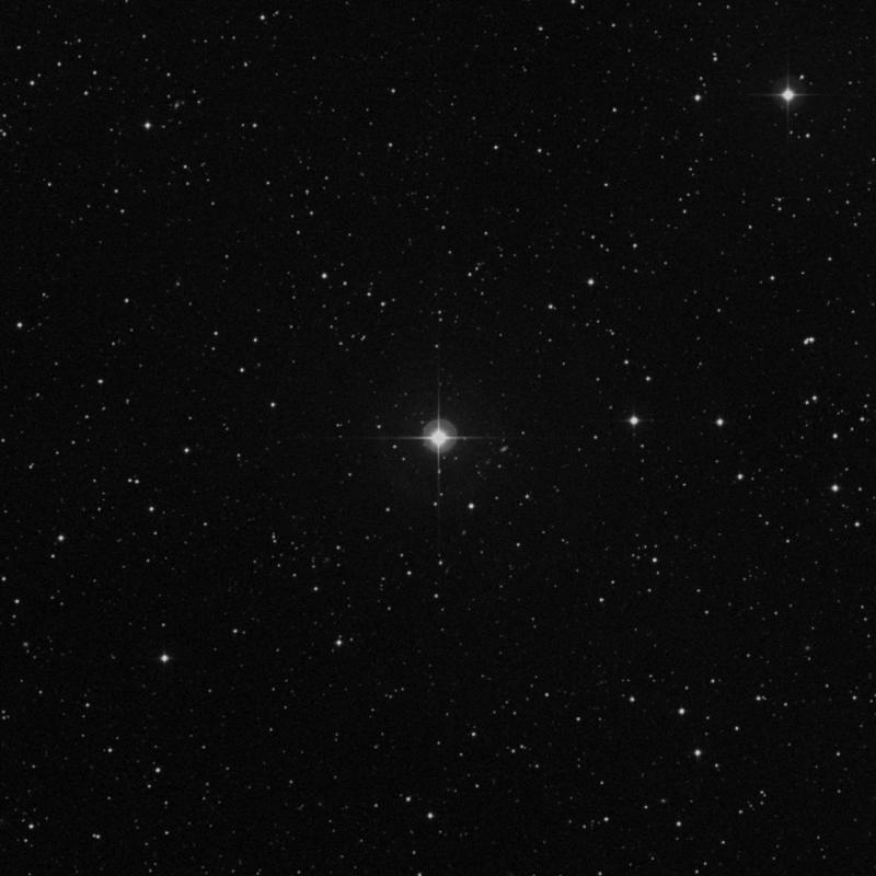 Image of NGC 6049 - Star in Serpens star