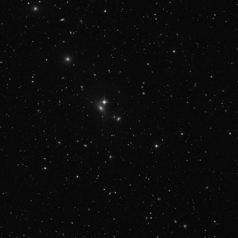 Image of NGC 6105 - Barred Spiral Galaxy in Corona Borealis star