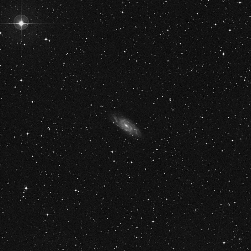 Image of NGC 6118 - Spiral Galaxy in Ophiuchus star