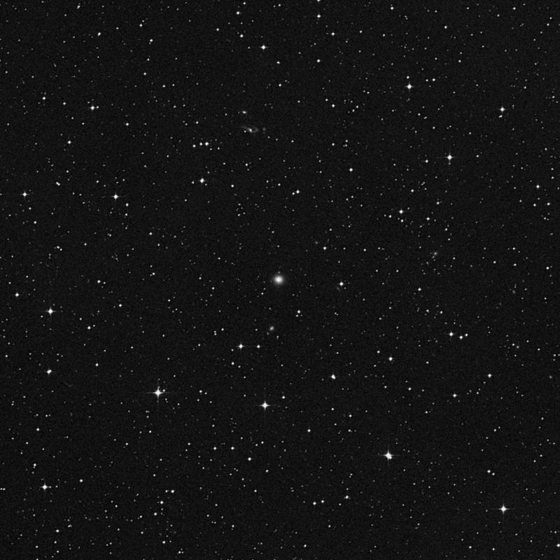 Image of NGC 6172 - Elliptical Galaxy in Ophiuchus star
