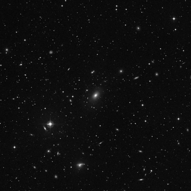 Image of NGC 6173 - Elliptical Galaxy in Hercules star