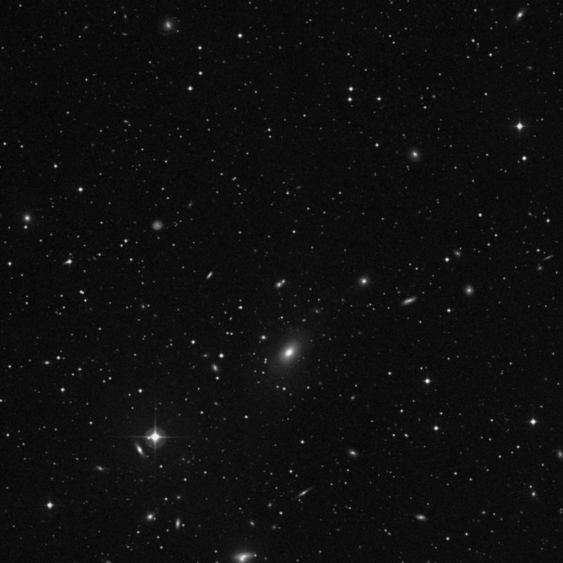Image of NGC 6174 NED01 - Elliptical Galaxy in Hercules star