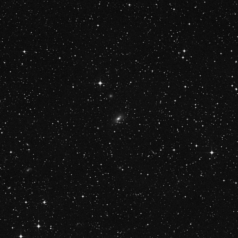 Image of NGC 6220 - Spiral Galaxy in Ophiuchus star