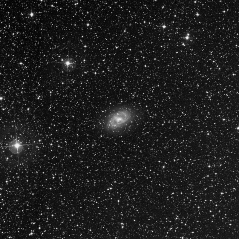 Image of NGC 6300 - Barred Spiral Galaxy in Ara star
