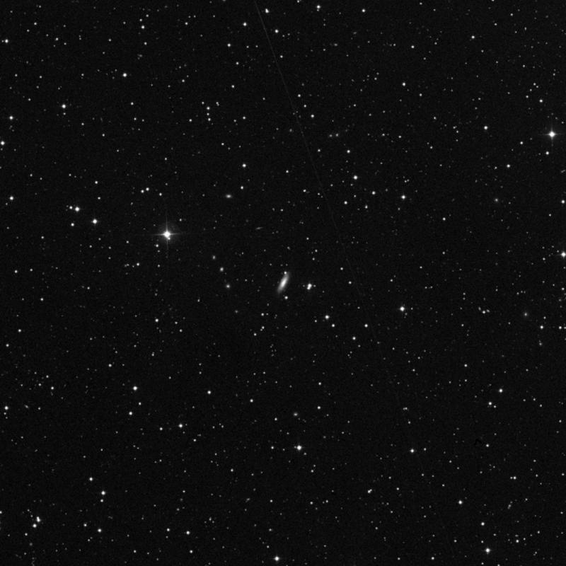 Image of NGC 6313 - Spiral Galaxy in Hercules star