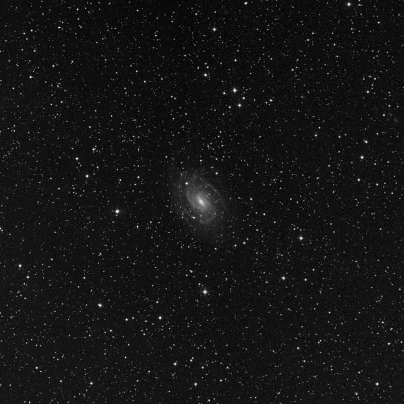 Image of NGC 6384 - Spiral Galaxy in Ophiuchus star