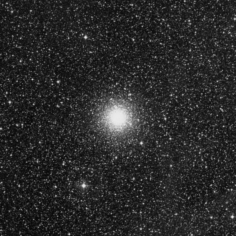 Image of NGC 6388 - Globular Cluster in Scorpius star