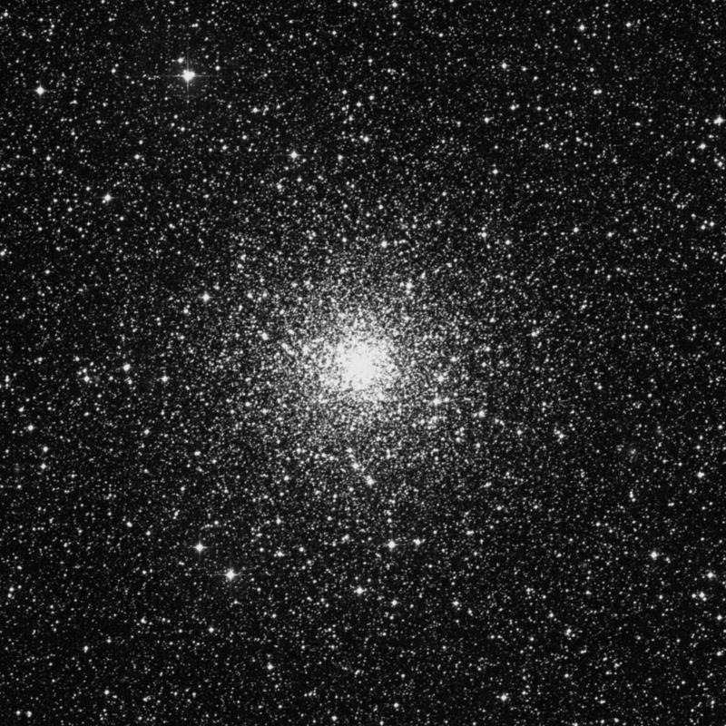 Image of NGC 6397 - Globular Cluster in Ara star
