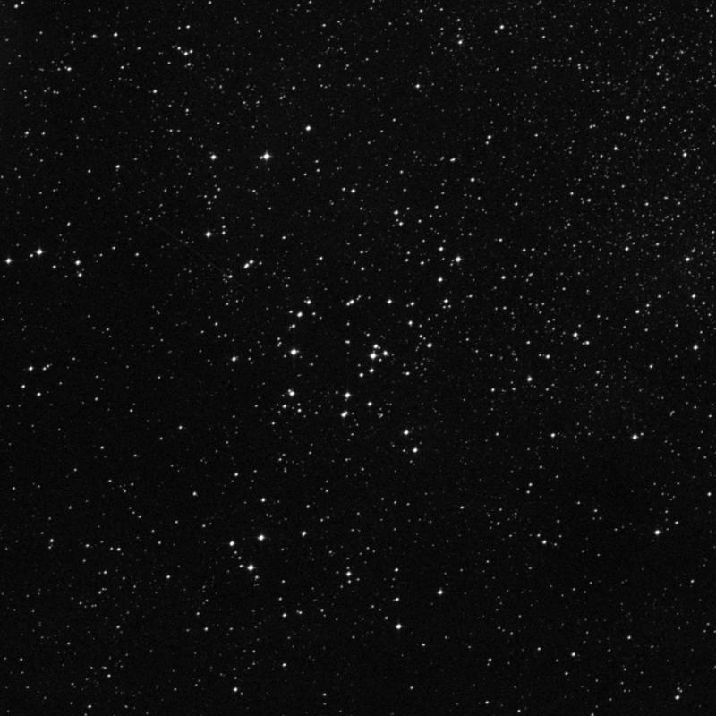 Image of NGC 6425 - Open Cluster in Scorpius star